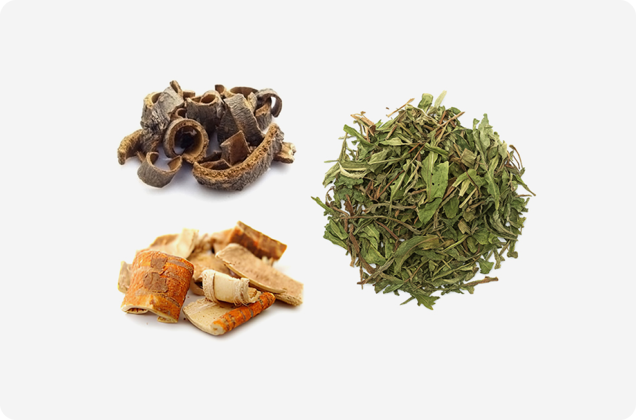 지방세포 환경을 고려한 복합 생약 조합